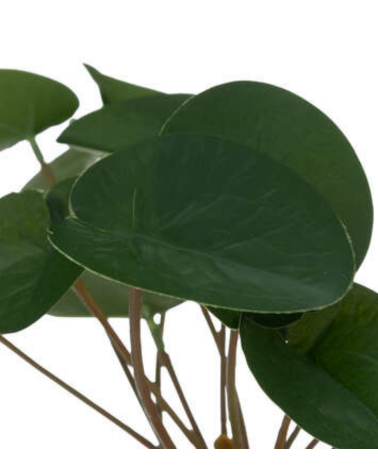 Planta Decorativa en Maceta Cerámica Verde de 26cm
