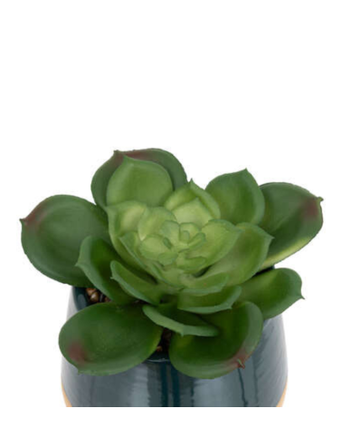 Cactus Decorativo de 12 cm - Varios Modelos