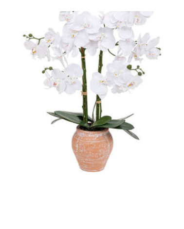 Orquídea Decorativa de 65 cm