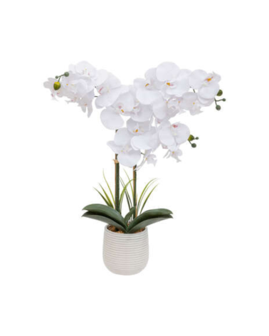 Orquídea Decorativa de 60 cm