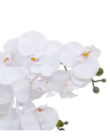 Orquídea Decorativa de 60 cm
