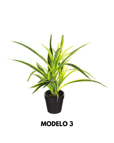 Planta Decorativa en Maceta Negra de 30cm - Varios Modelos