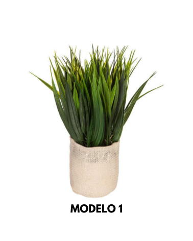 Planta Decorativa en Maceta de Yute de 25 cm - Varios Modelos