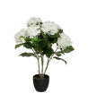 Planta Decorativa Hortensia de 60 cm