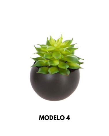 Planta Decorativa de 11 cm - Varios Modelos