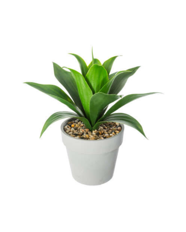Aloe Vera Decorativo de 35 Cm