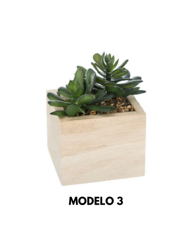 Aloe Vera Decorativo de 15 cm - Varios Modelos