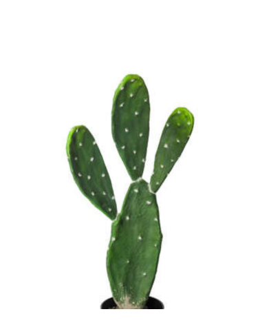 Cactus Decorativo de 60cm