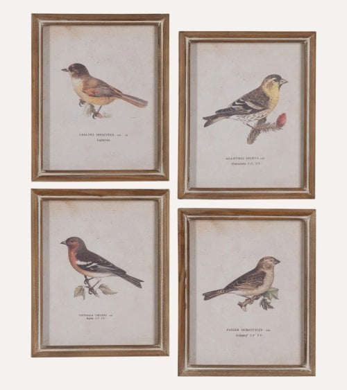 Cuadro de Pájaro Estilo Vintage