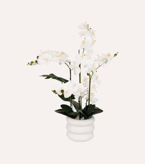 Orquídea Decorativa en Maceta de Cerámica