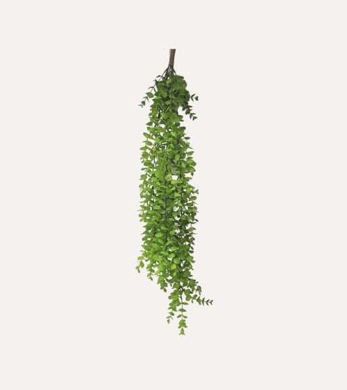 Planta Colgante Decorativa...