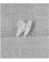 Cortina con Pompones en Relieve 140x240 cm Lily