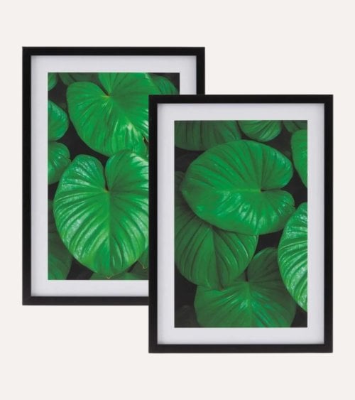 Cuadro Impresión Hojas Tropicales de MDF