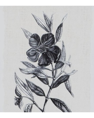 Cuadro de Estampación floral en Blanco y Negro