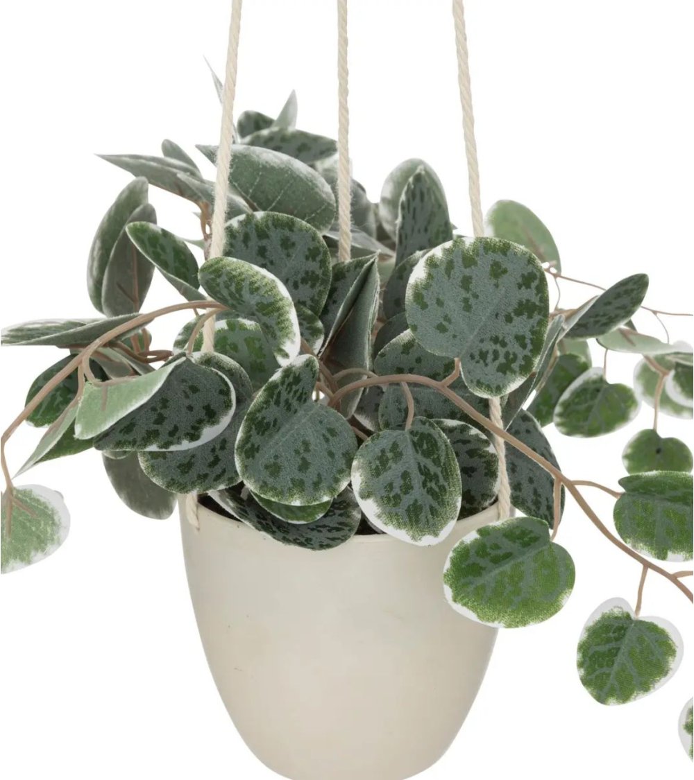 Pilea Peperomioides - Planta artificial pequeña en maceta, planta de  interior en macetas negras, plantas artificiales de plástico para el hogar